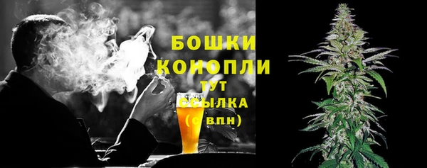 амф Верея
