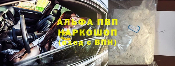 амф Верея