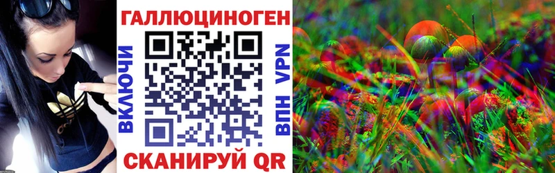 Галлюциногенные грибы Psilocybe  Иннополис 